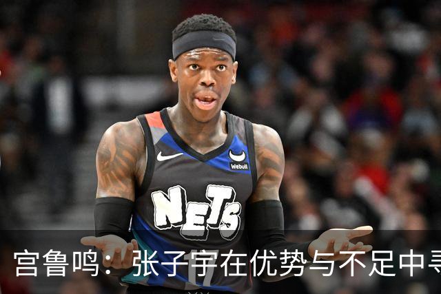 宫鲁鸣：张子宇在优势与不足中寻求突破