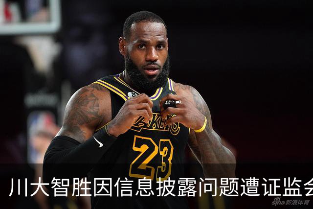 川大智胜因信息披露问题遭证监会调查